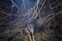 Saint-Gingolph, Ženevské jezero - Víkend v Alpách (březen 2025)