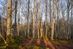 Saint-Gingolph, Ženevské jezero - Víkend v Alpách (březen 2025)