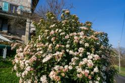 Saint-Gingolph, Ženevské jezero - Víkend v Alpách (březen 2025)