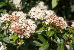 Saint-Gingolph, Ženevské jezero - Víkend v Alpách (březen 2025)