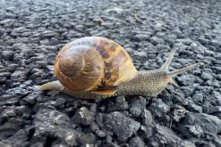 Saint-Gingolph, Ženevské jezero - Víkend v Alpách (březen 2025)