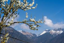 Villeneuve, Ženevské jezero - Víkend v Alpách (březen 2025)