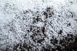 Klaipėda - Prodloužený víkend po Litvě (duben 2025)