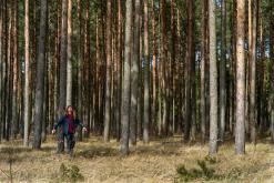 Kurská kosa - Prodloužený víkend po Litvě (duben 2025)