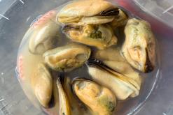 Kurská kosa - Prodloužený víkend po Litvě (duben 2025)