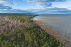 Kurská kosa - Prodloužený víkend po Litvě (duben 2025)