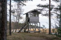 Kurská kosa - Prodloužený víkend po Litvě (duben 2025)