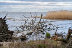 Kurská kosa - Prodloužený víkend po Litvě (duben 2025)