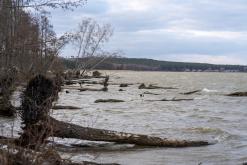 Kurská kosa - Prodloužený víkend po Litvě (duben 2025)