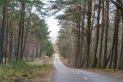 Kurská kosa - Prodloužený víkend po Litvě (duben 2025)