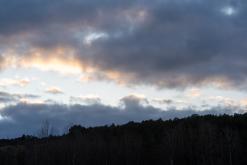 Kurská kosa - Prodloužený víkend po Litvě (duben 2025)