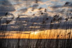 Kurská kosa - Prodloužený víkend po Litvě (duben 2025)