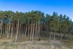 Kurská kosa - Prodloužený víkend po Litvě (duben 2025)