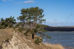 Kurská kosa - Prodloužený víkend po Litvě (duben 2025)