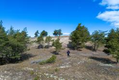 Kurská kosa - Prodloužený víkend po Litvě (duben 2025)