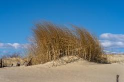 Kurská kosa - Prodloužený víkend po Litvě (duben 2025)