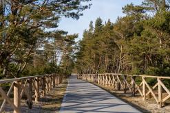 Kurská kosa - Prodloužený víkend po Litvě (duben 2025)