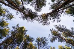 Kurská kosa - Prodloužený víkend po Litvě (duben 2025)