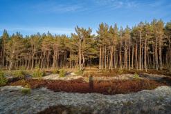 Kurská kosa - Prodloužený víkend po Litvě (duben 2025)