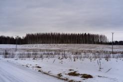 Helvetinjärvi - Prodloužený víkend po Finsku (únor 2025)