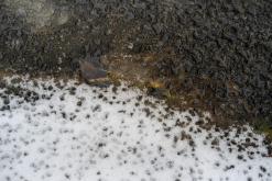 Helvetinjärvi - Prodloužený víkend po Finsku (únor 2025)