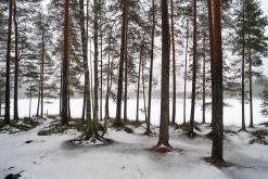 Helvetinjärvi - Prodloužený víkend po Finsku (únor 2025)