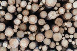 Helvetinjärvi - Prodloužený víkend po Finsku (únor 2025)