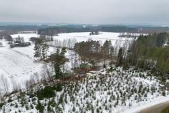 Helvetinjärvi - Prodloužený víkend po Finsku (únor 2025)