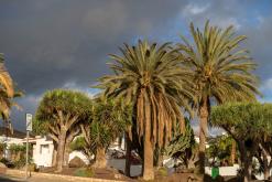 Morro Jable - Týden na Kanárech (listopad 2024)