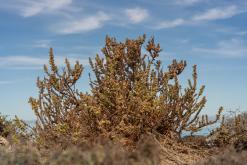 Playa de Cofete - Týden na Kanárech (listopad 2024)