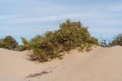 Playa de Cofete - Týden na Kanárech (listopad 2024)