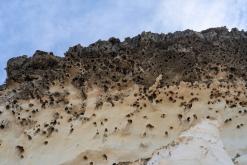 Playa de Cofete - Týden na Kanárech (listopad 2024)