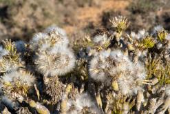 La Pared - Týden na Kanárech (listopad 2024)