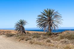 Playa de la Solapa - Týden na Kanárech (listopad 2024)