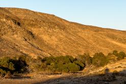 Ajuy - Týden na Kanárech (listopad 2024)