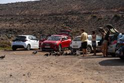 Los Molinos - Týden na Kanárech (listopad 2024)