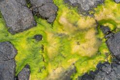 El Cotillo - Týden na Kanárech (listopad 2024)