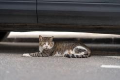 El Cotillo - Týden na Kanárech (listopad 2024)