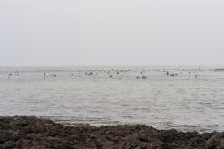 El Cotillo - Týden na Kanárech (listopad 2024)