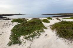 El Cotillo - Týden na Kanárech (listopad 2024)