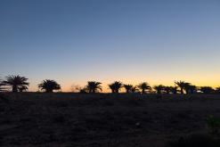 Puerto del Rosario - Týden na Kanárech (listopad 2024)