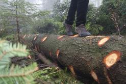 Sadecké Beskydy - květen 2017