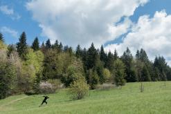 Pieniny - květen 2017
