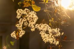 Bled - Prodloužený víkend po Slovinsku (prosinec 2024)