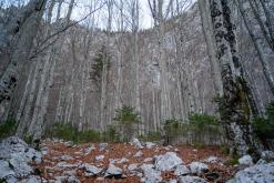 Črno jezero - Prodloužený víkend po Slovinsku (prosinec 2024)