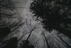 Črno jezero - Prodloužený víkend po Slovinsku (prosinec 2024)