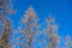 Črno jezero - Prodloužený víkend po Slovinsku (prosinec 2024)