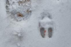 Jezero v Ledvicah - Prodloužený víkend po Slovinsku (prosinec 2024)