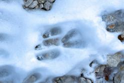 Prehodavci - Prodloužený víkend po Slovinsku (prosinec 2024)