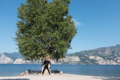 Malcesine, Lago di Gardaxc